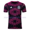 Maillot de Foot Mexique Domicile 2021